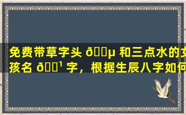 免费带草字头 🐵 和三点水的女孩名 🌹 字，根据生辰八字如何起名